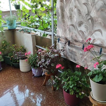 House In Borjomi Hotel Bilik gambar