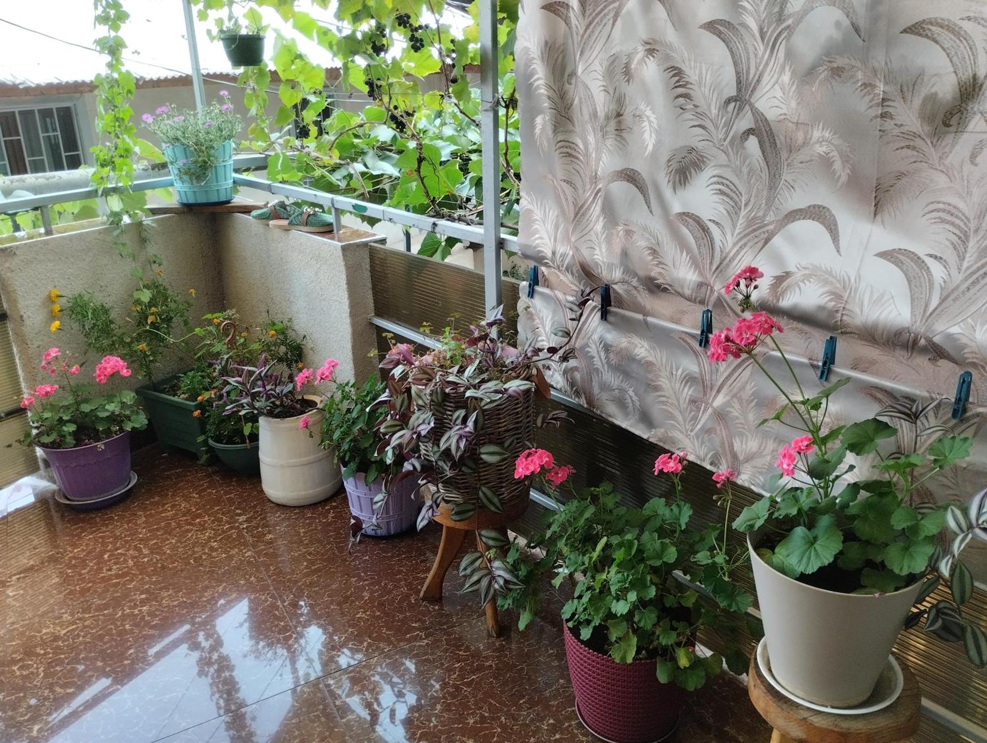 House In Borjomi Hotel Bilik gambar